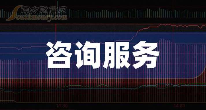 未来已来 2024年11月14日，咨询服务行业的转折点